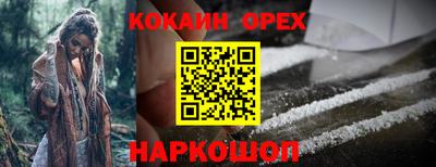 крисы Камышлов