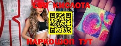 Альфа ПВП Канаш