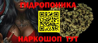 крисы Камышлов