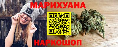 крисы Камышлов