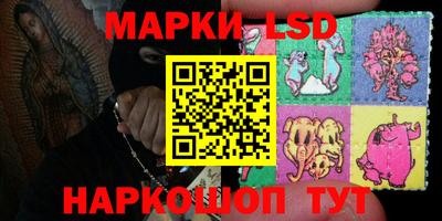 крисы Камышлов