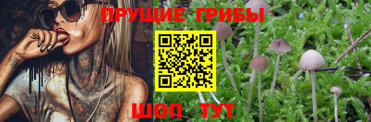 Псилоцибиновые грибы мухоморы Котовск