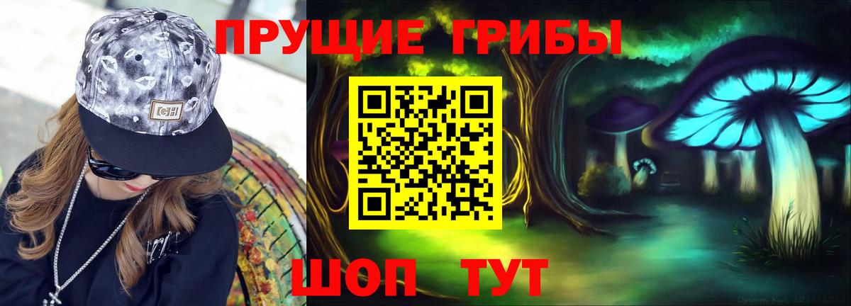 Псилоцибиновые грибы ЛСД  Псилоцибиновые грибы ЛСД  хочу наркоту  Вход с VPN  Котовск 